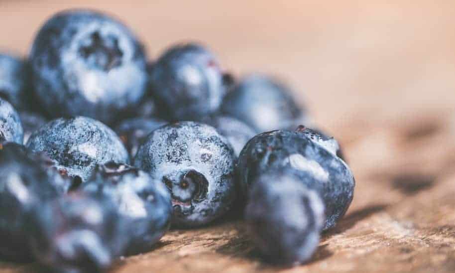 אוכמניות ערך תזונתי