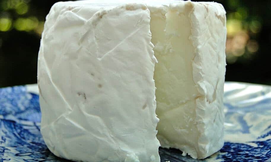 גבינת קממבר