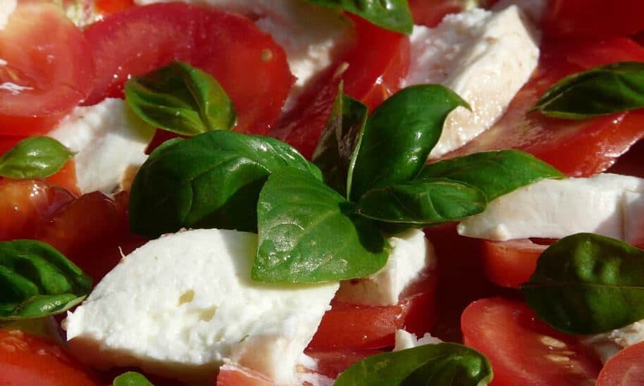 גבינת מוצרלה