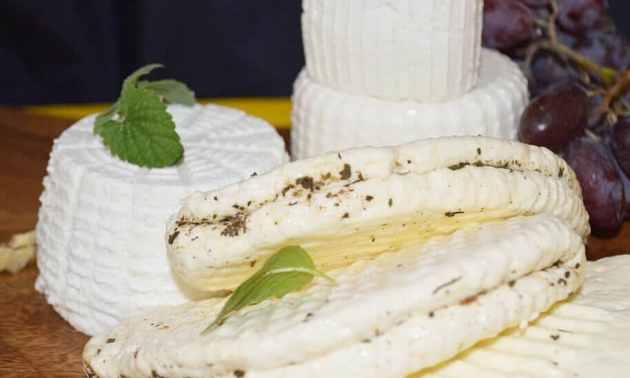 גבינת ריקוטה