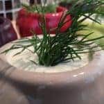 גבינת סקי ערך תזונתי