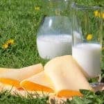 גבינה צהובה נעם טרה