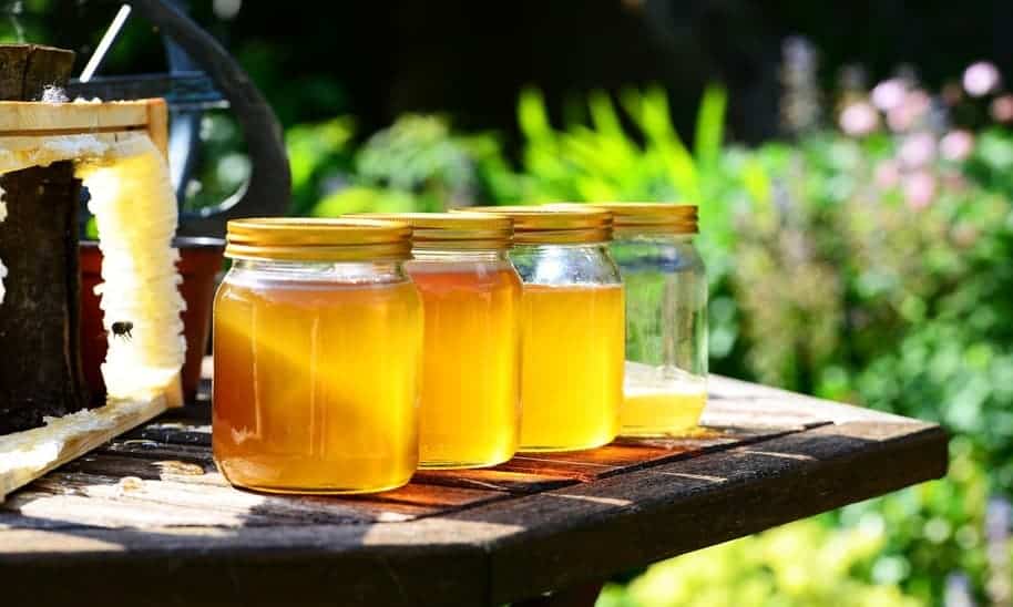 דבש לייט ערך תזונתי