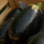 eggplant