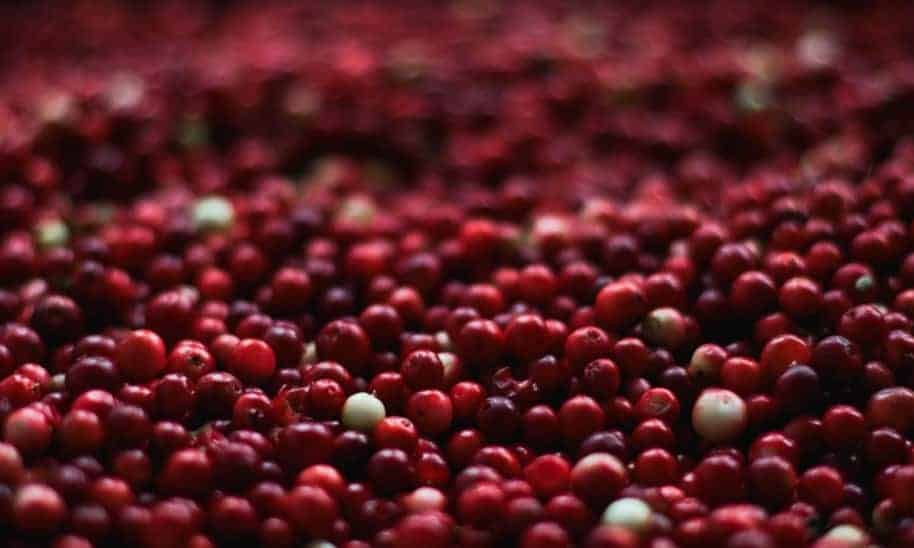 fresh_cranberry