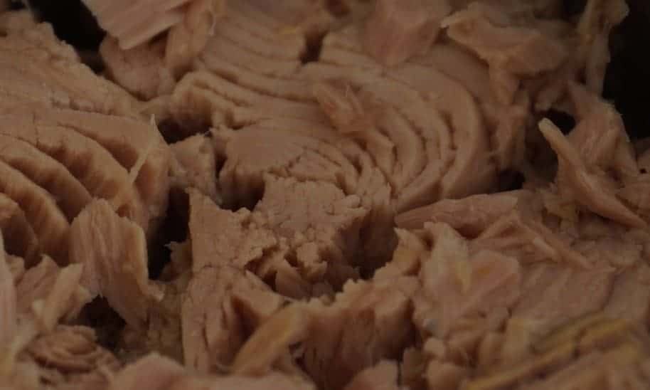 tuna_four