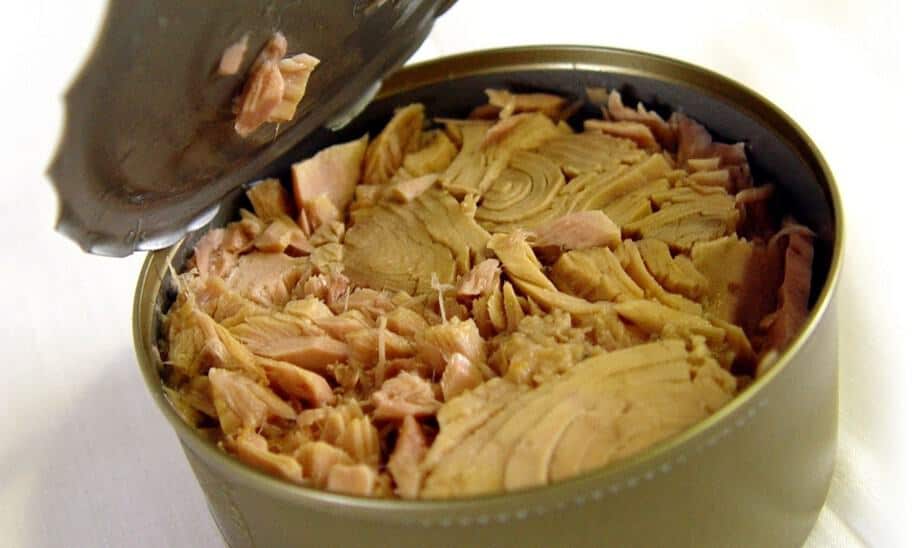 tuna_two