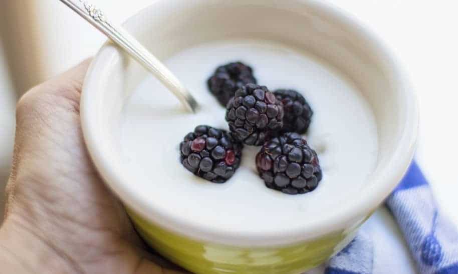 yogurt_5