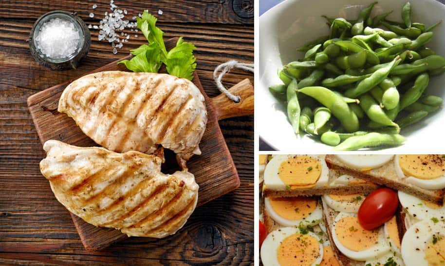 דיאטת חלבונים