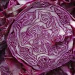 red_cabbage