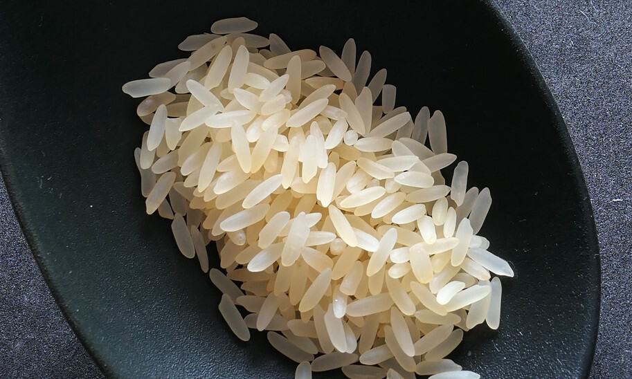 rice_diet