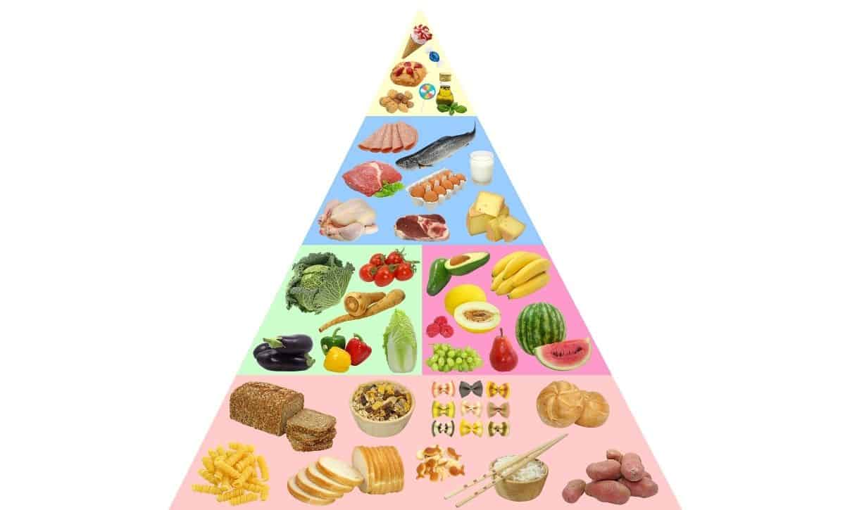 פירמידת המזון