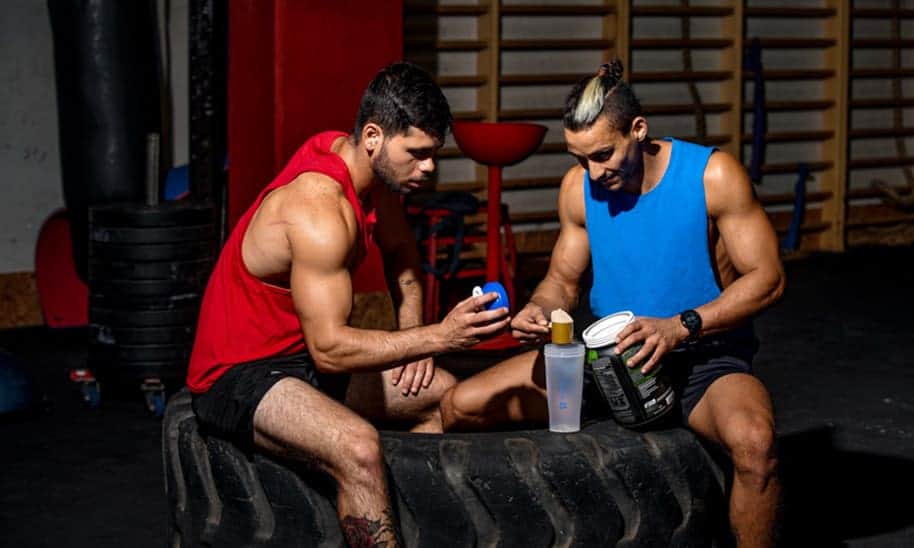 מאכלי חלבון