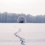 הצבת מטרות עקרון מספר 2