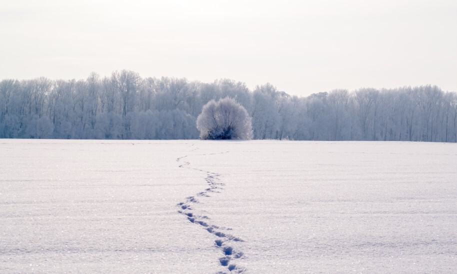 הצבת מטרות עקרון מספר 2