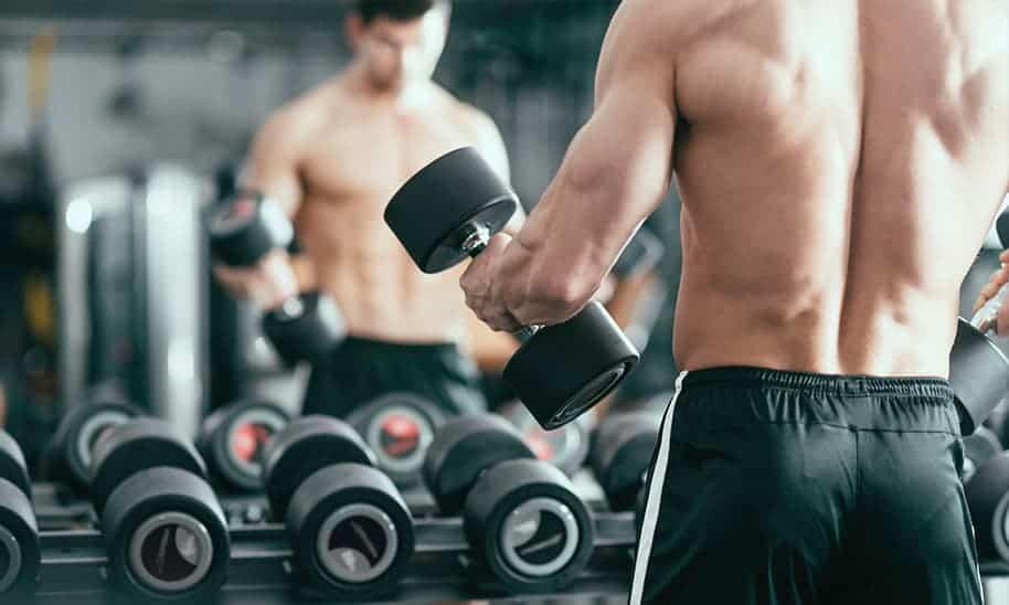 היפרטרופיה