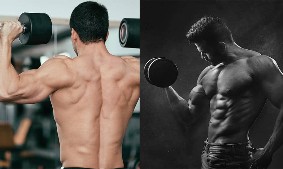 שרירי ידיים גדולים