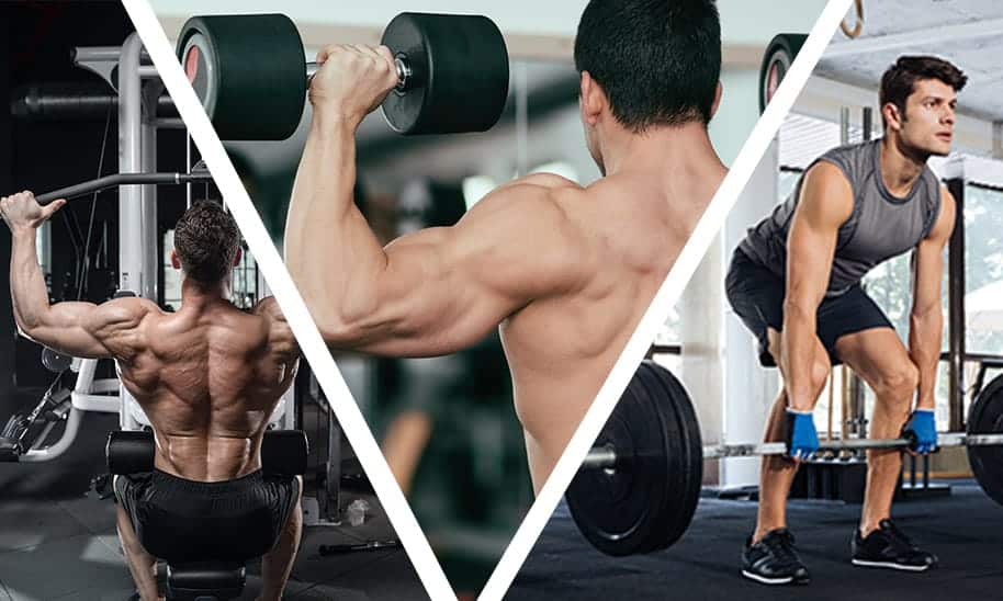 תכנית אימון פוש פול רגליים