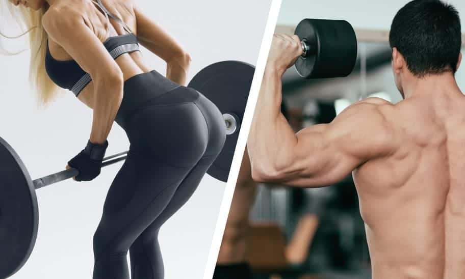 תוכנית אימון AB