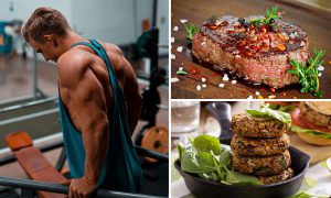 כמה חלבון צריך לאכול ביום