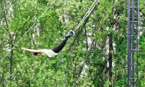 לולינית הטרפז הישראלית