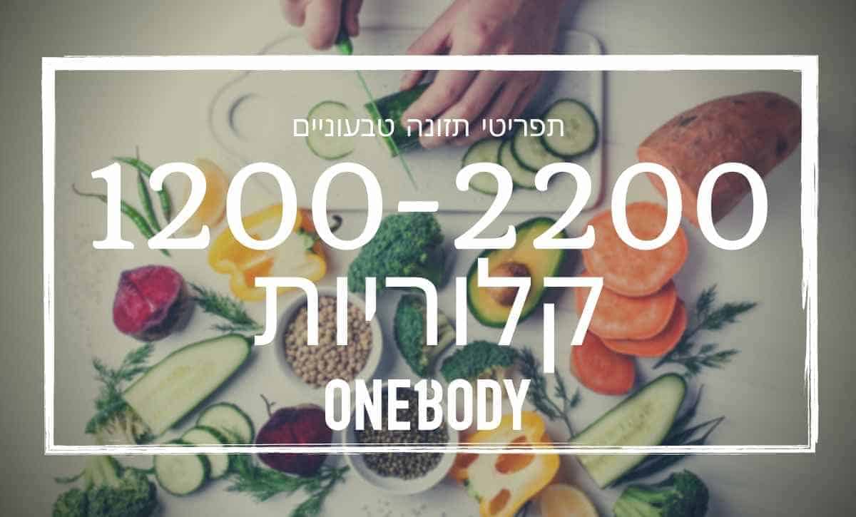 תפריט תזונה טבעוני