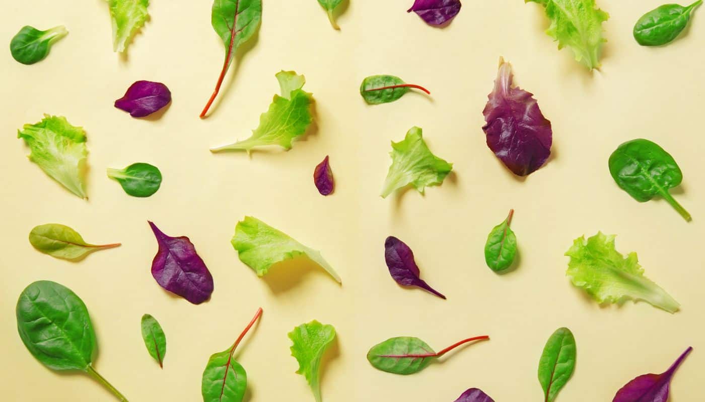 שנה טעימה ומזינה