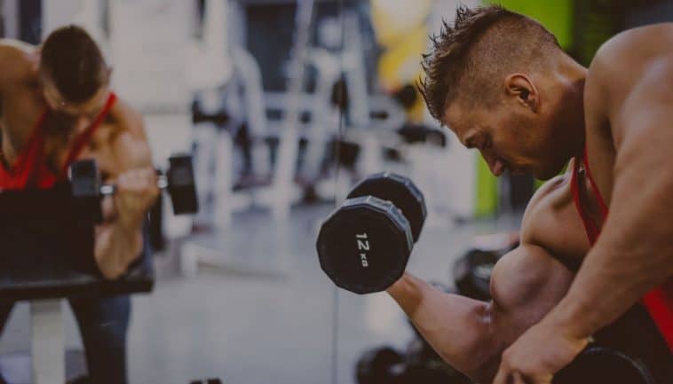 בניית מסת שריר