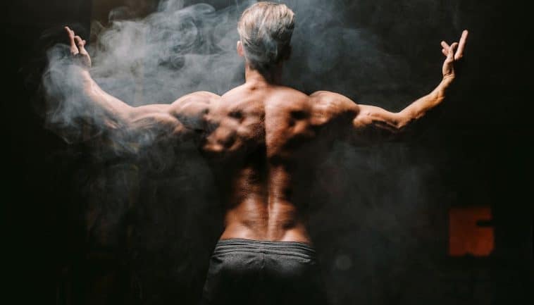 בניית מסת שריר