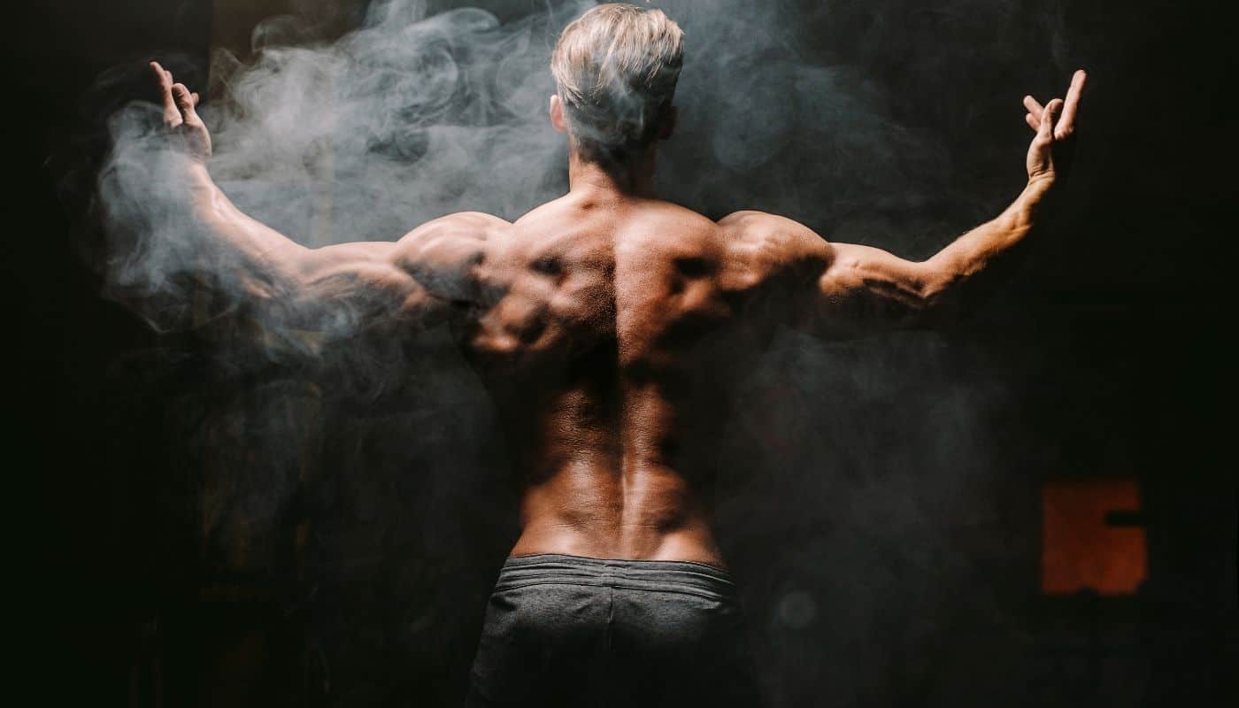 בניית מסת שריר