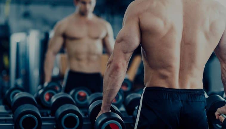 המתאמן המתחיל