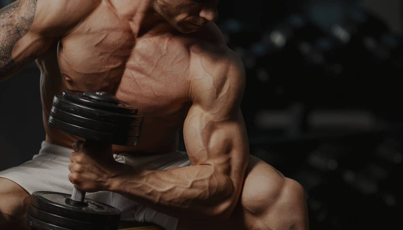 תוכנית ארוחות לפיתוח גוף